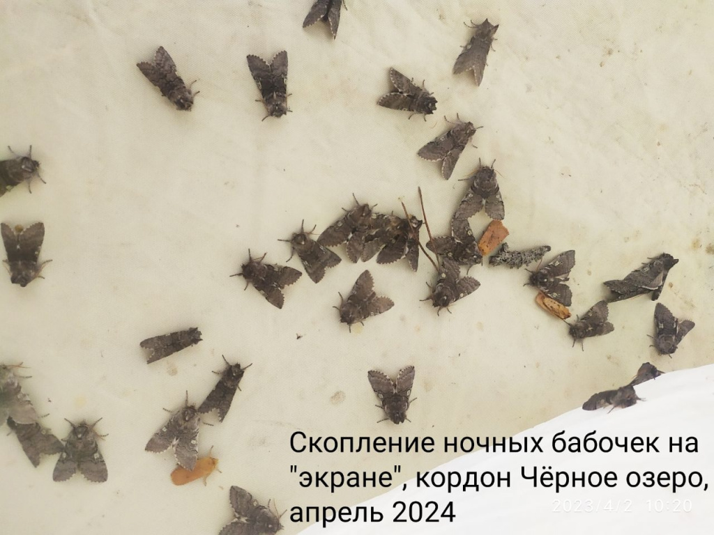 k22qEawN_7XXdlUyn6jlWJZJNzrOWL8Amw41cJ3jp69aXNLjiUHEiqYFZb10_W59J0IDVyzm0Nf44ZEMoHaI6lwb.jpg