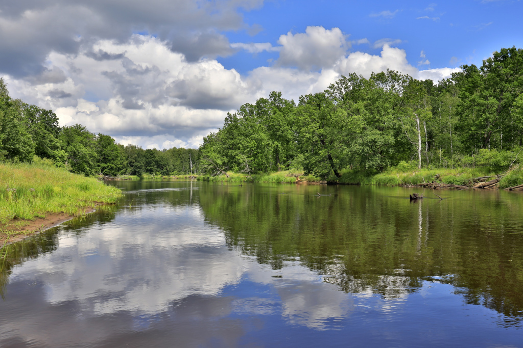 По берегам Пры произрастают дубовые и смешанные леса