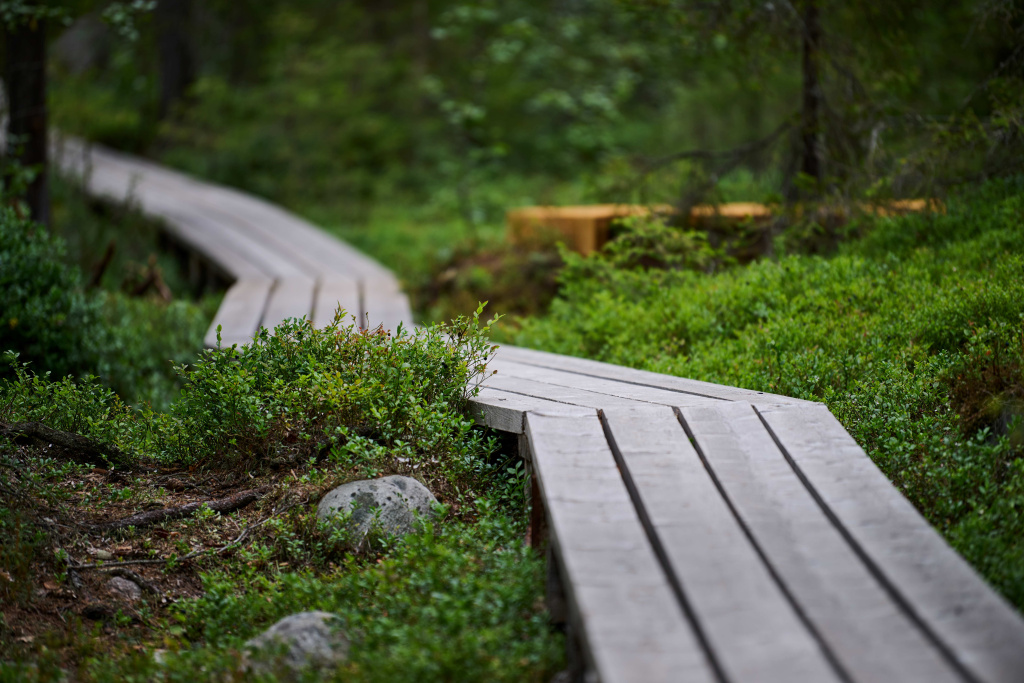 Тропа к Истоку жизни_Фото Владимира Горбатовского