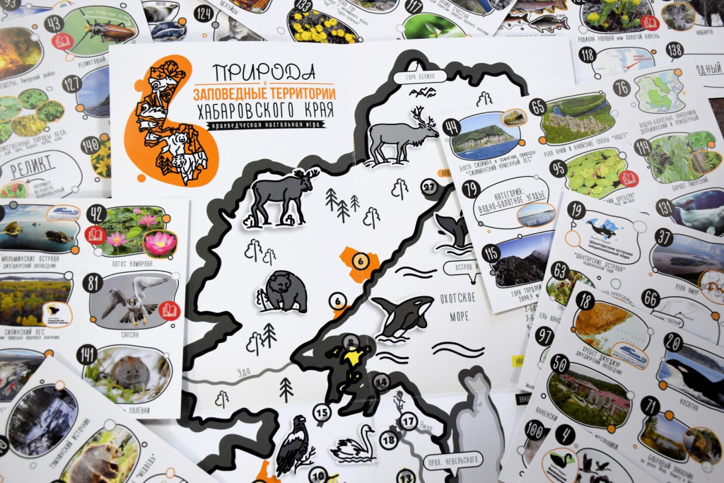 Игра Заповедные территории Хабаровского края