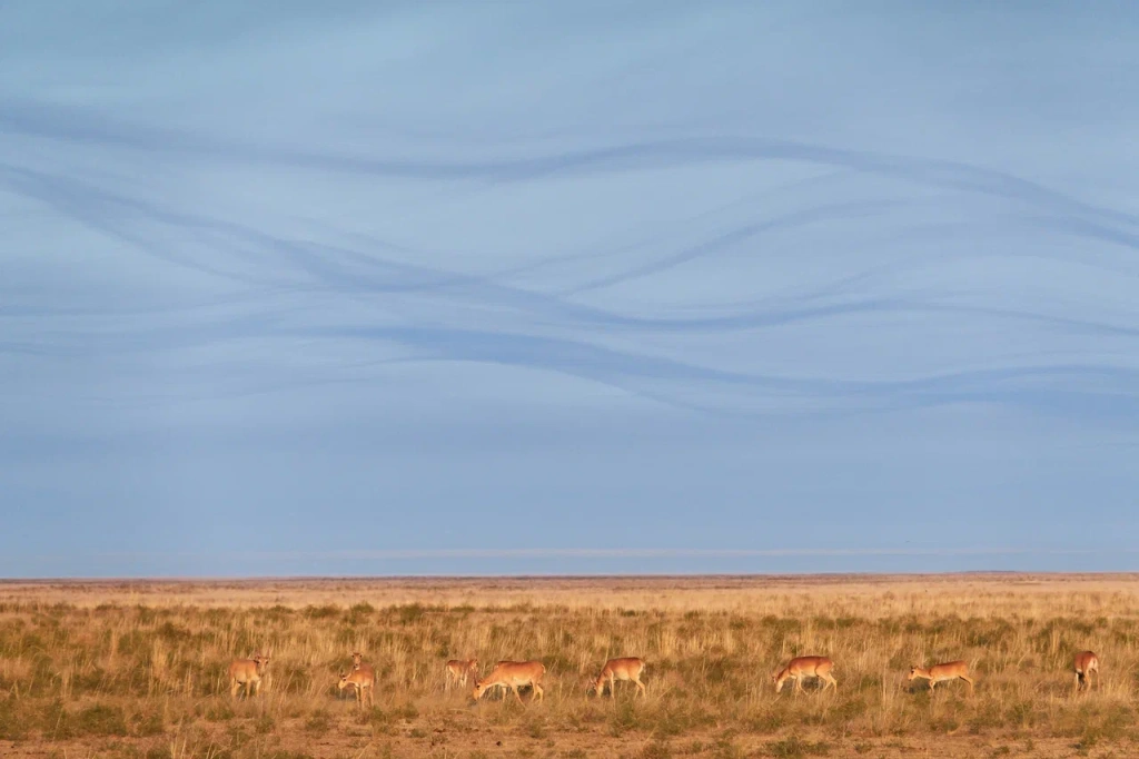 Виктор Тяхт_Россия_Небесные предгорья «Чёрных земель»