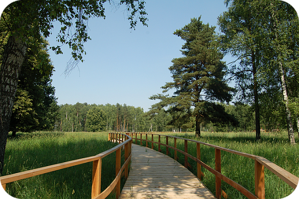 Losiny Ostrov National Park (Moscow oblast)