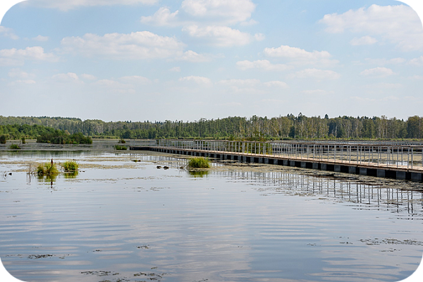 Losiny Ostrov National Park 