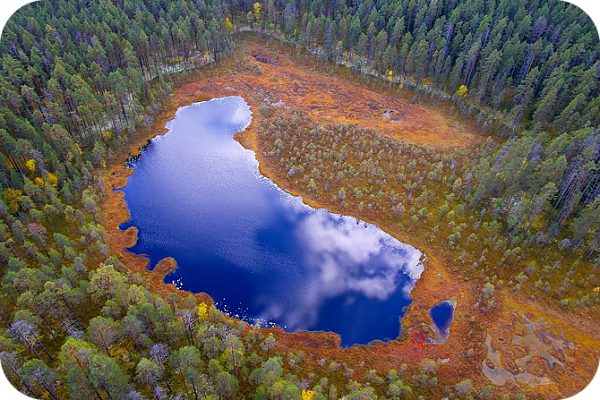 Kivach Nature Reserve  (Republic of Karelia)